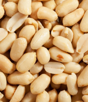 Blanched Peanuts Roasted & Salted