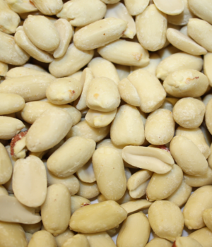 Blanched Peanuts Raw