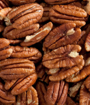 Pecan Mammoth Halves