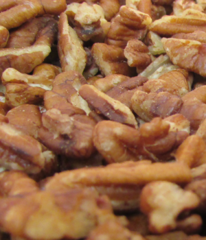 Pecan Pieces Raw