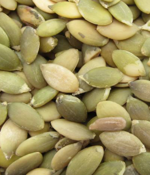 Pumpkin Seeds Raw