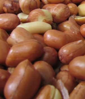 Spanish Peanuts Roasted No Salt