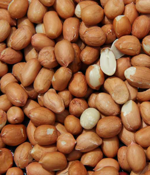 Spanish Peanuts Raw