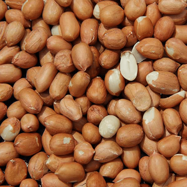 Spanish Peanuts Raw