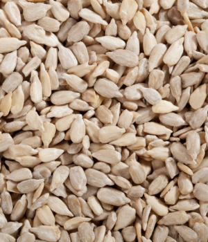 Sunflower Seeds Roasted No Salt - 3 lb