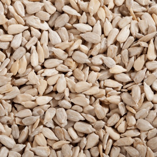 Sunflower Seeds Raw