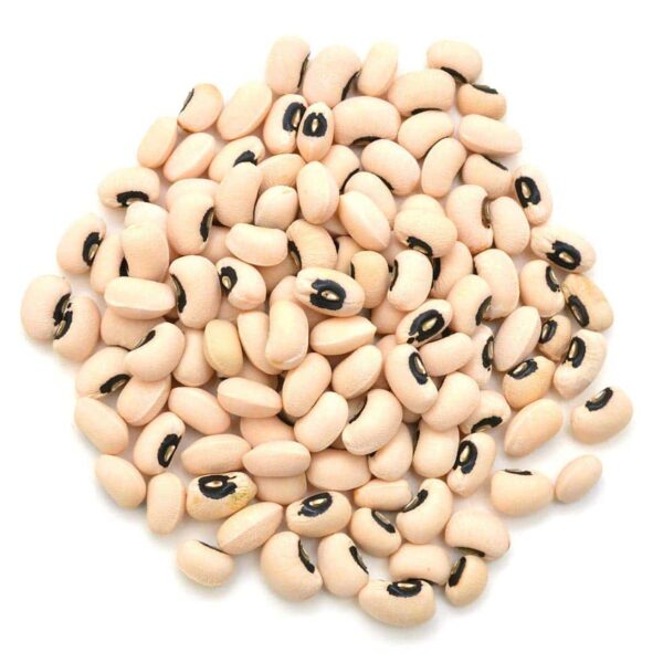 black eye pea bean Kitchen Kneads Ogden, UT Kitchen Supply Store