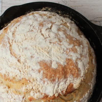 no knead bread